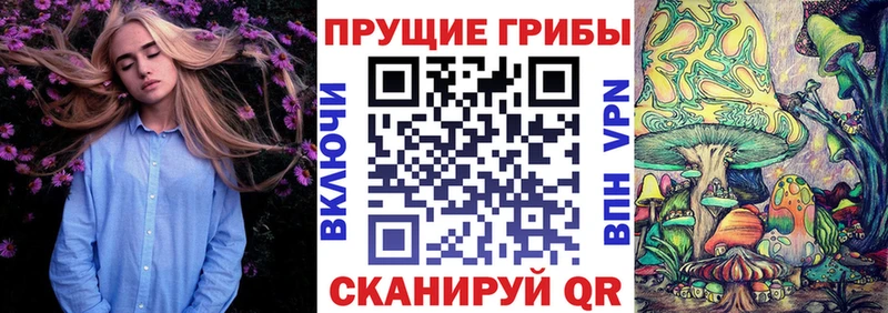 Галлюциногенные грибы мицелий  Купить закладки  Владивосток 